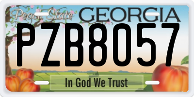 GA license plate PZB8057