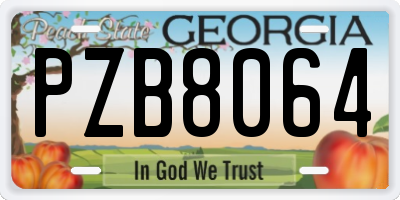 GA license plate PZB8064