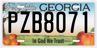 GA license plate PZB8071