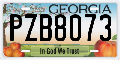 GA license plate PZB8073