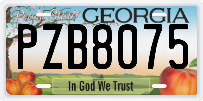 GA license plate PZB8075