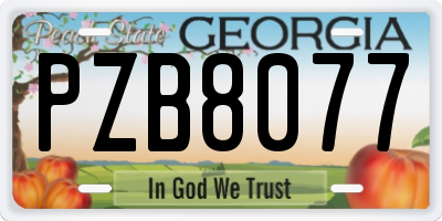 GA license plate PZB8077