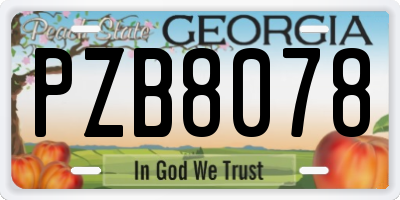 GA license plate PZB8078