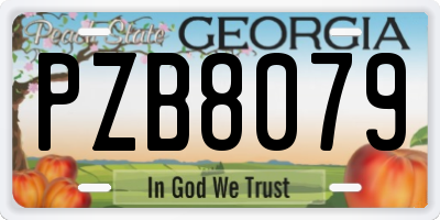 GA license plate PZB8079