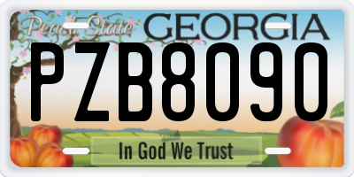 GA license plate PZB8090