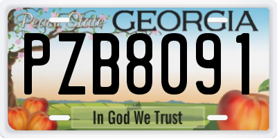 GA license plate PZB8091