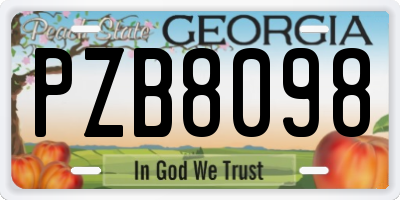 GA license plate PZB8098