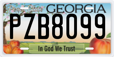 GA license plate PZB8099