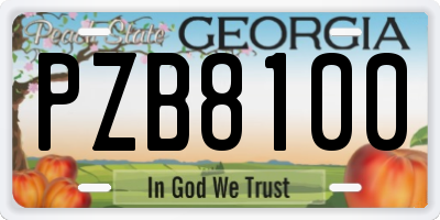 GA license plate PZB8100