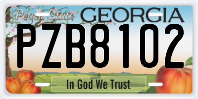 GA license plate PZB8102