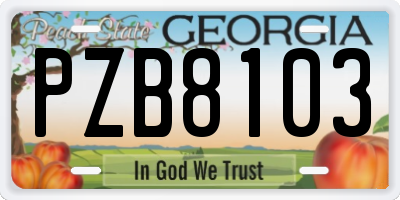 GA license plate PZB8103