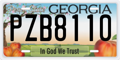 GA license plate PZB8110