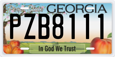 GA license plate PZB8111