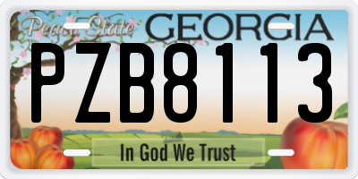 GA license plate PZB8113