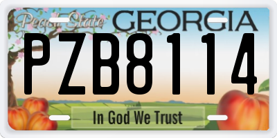 GA license plate PZB8114