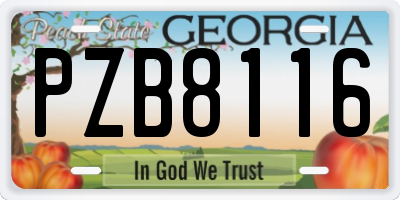 GA license plate PZB8116