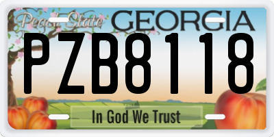 GA license plate PZB8118