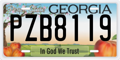 GA license plate PZB8119