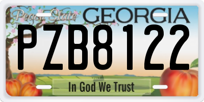 GA license plate PZB8122