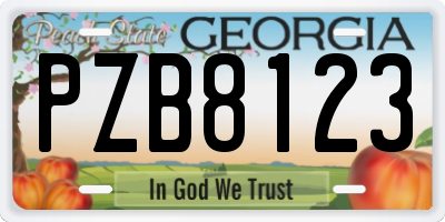 GA license plate PZB8123