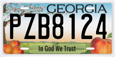 GA license plate PZB8124