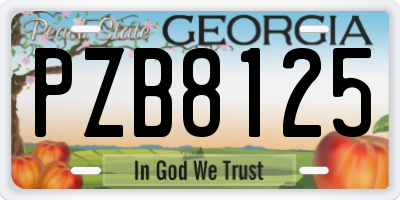 GA license plate PZB8125