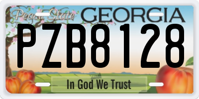 GA license plate PZB8128