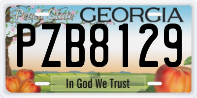 GA license plate PZB8129