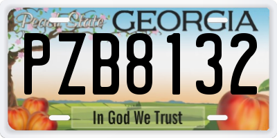GA license plate PZB8132