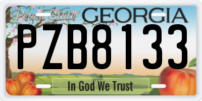 GA license plate PZB8133