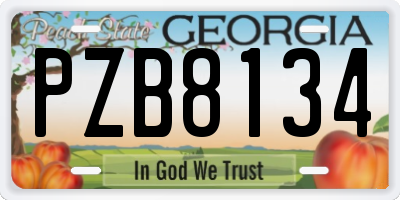 GA license plate PZB8134