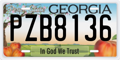 GA license plate PZB8136