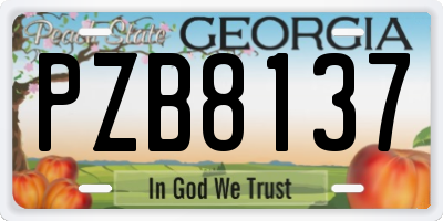 GA license plate PZB8137