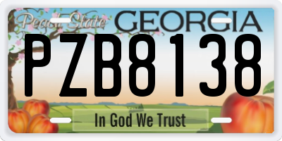 GA license plate PZB8138