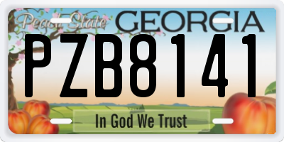 GA license plate PZB8141