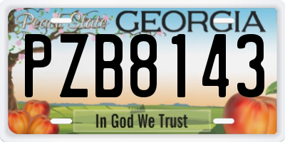 GA license plate PZB8143