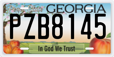 GA license plate PZB8145