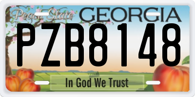 GA license plate PZB8148