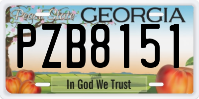 GA license plate PZB8151