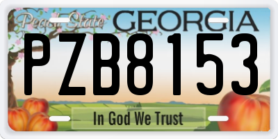 GA license plate PZB8153