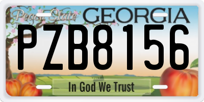 GA license plate PZB8156