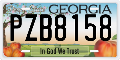 GA license plate PZB8158