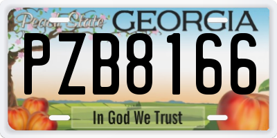 GA license plate PZB8166