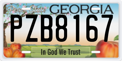 GA license plate PZB8167