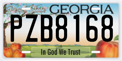 GA license plate PZB8168