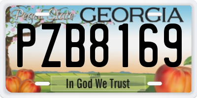 GA license plate PZB8169