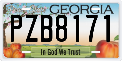 GA license plate PZB8171