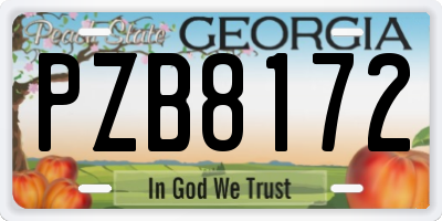 GA license plate PZB8172