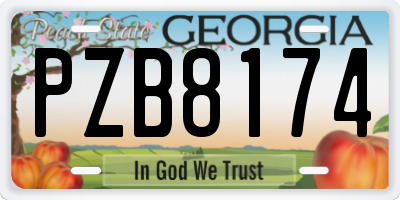GA license plate PZB8174