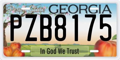 GA license plate PZB8175